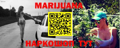 Альфа ПВП Малгобек