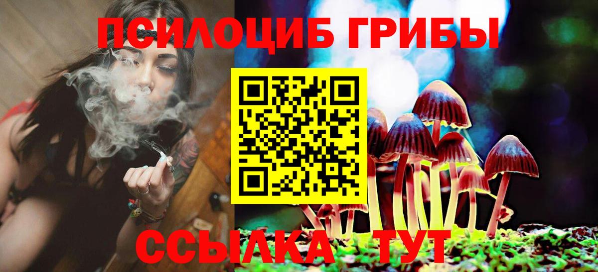 Сыктывкар  Галлюциногенные грибы Psilocybe  Псилоцибиновые грибы мицелий  Вход с VPN 